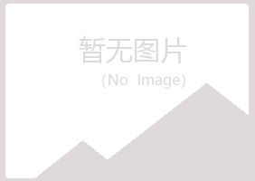 江夏区白易美容有限公司